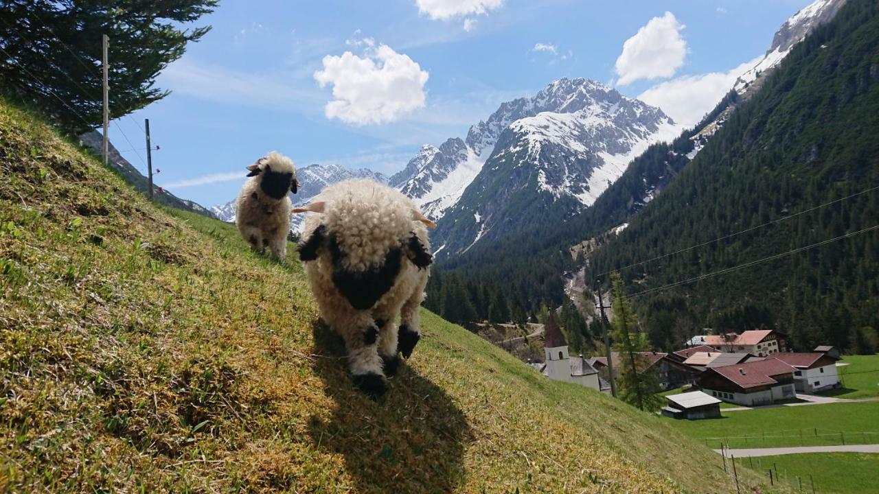 보덴 Bergbauernhof Pabulariu 빌라 외부 사진